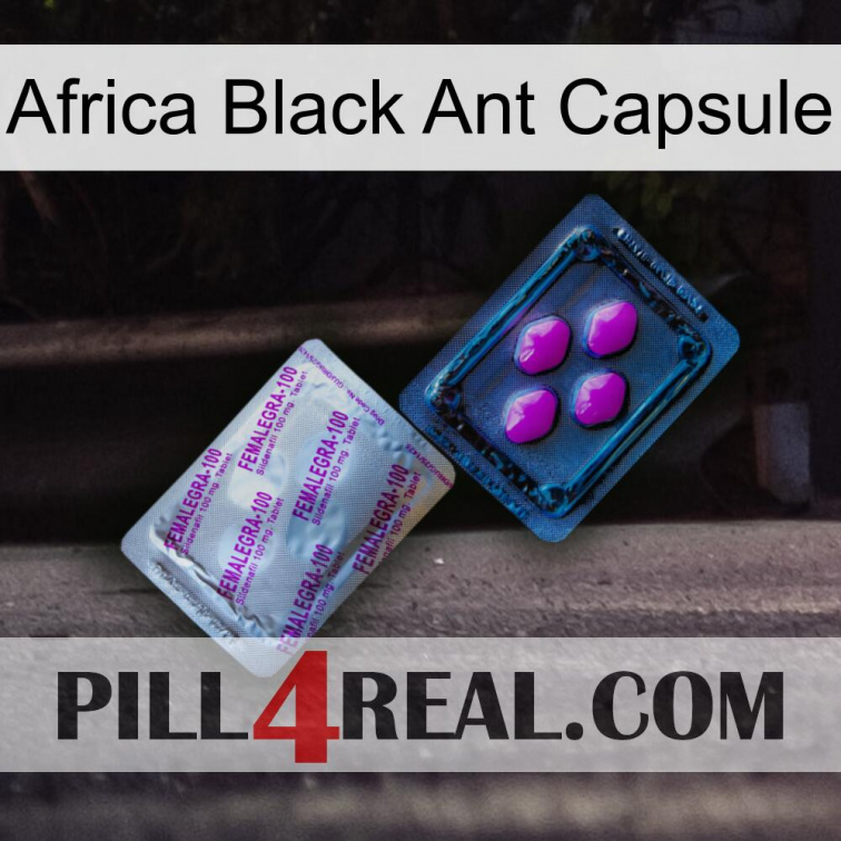 Africa Black Ant Capsule 37